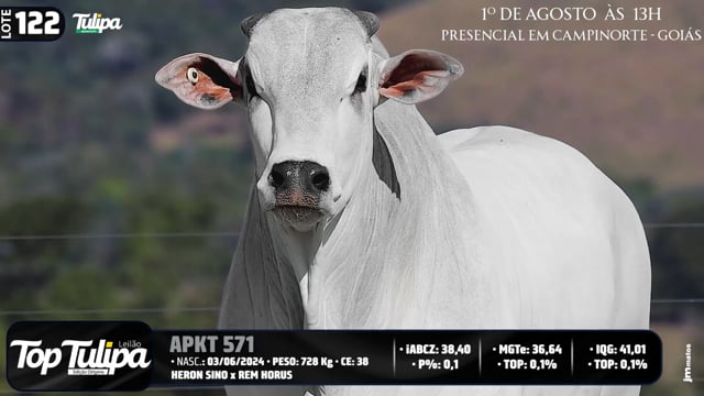 Lote 122