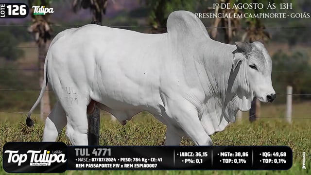 Lote 126
