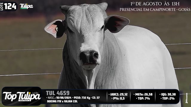 Lote 124