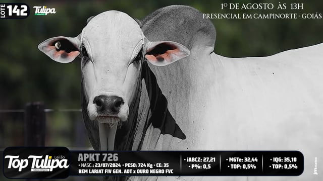 Lote 142