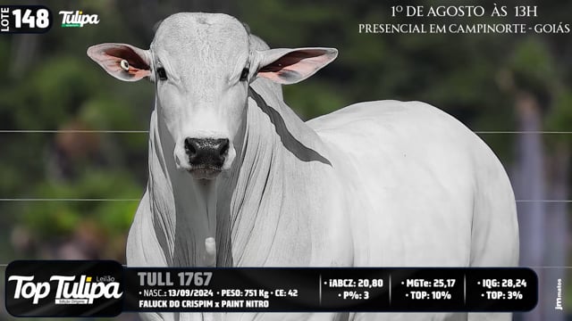 Lote 148