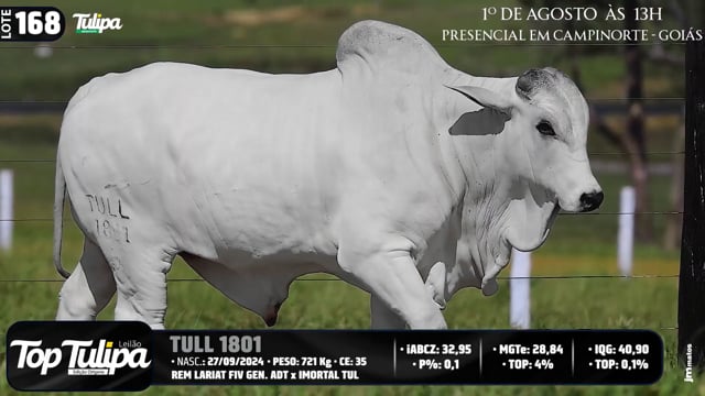 Lote 168