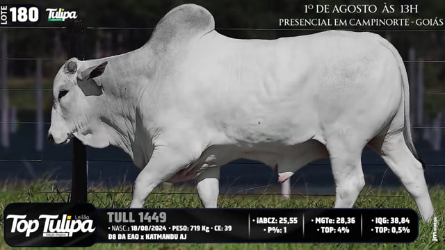 Lote 180