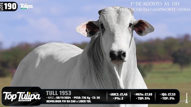 Lote 190
