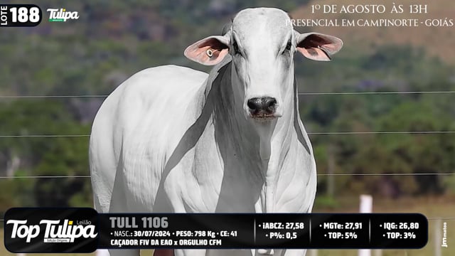 Lote 188