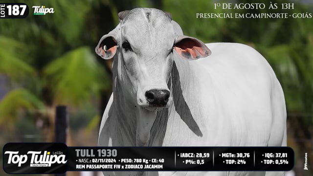 Lote 187