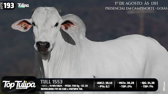 Lote 193