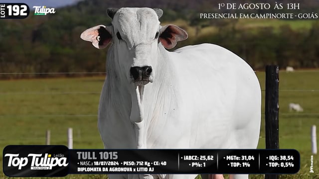 Lote 192