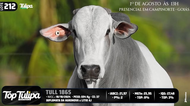 Lote 212