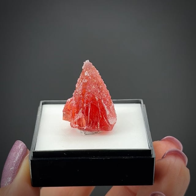 Rhodochrosite with Quartz - TN26-29 - Hotazel Mine - South Africa