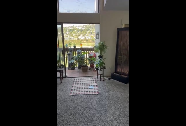 Shared residence  Main Photo