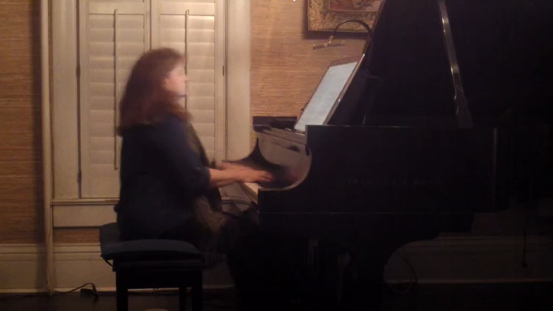 Promotional video thumbnail 5 for The Piano Muse