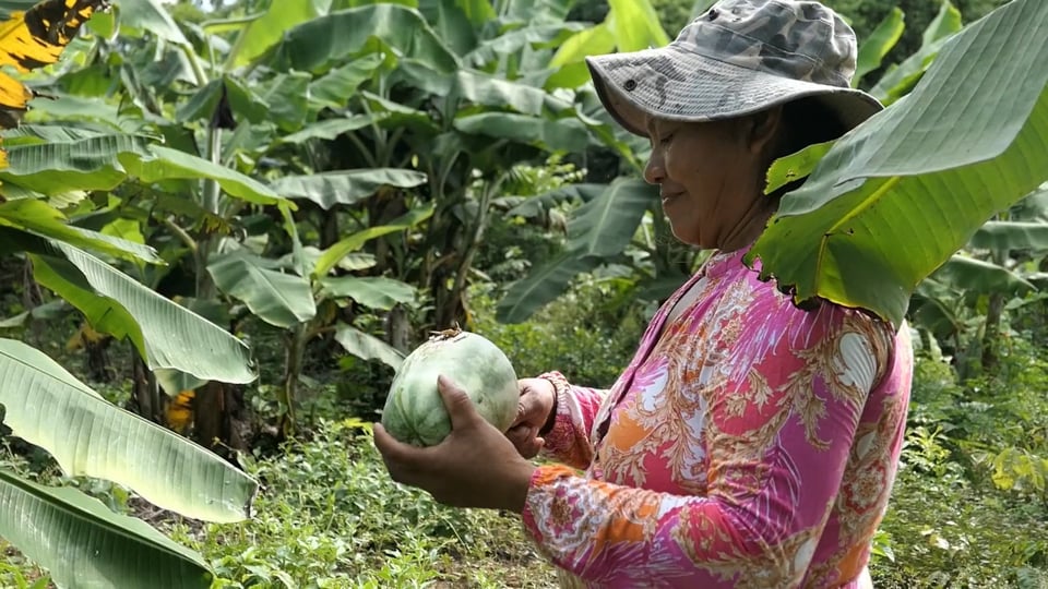 Femmes des Terres : quand la solidarité donne aux femmes le pouvoir d'agir