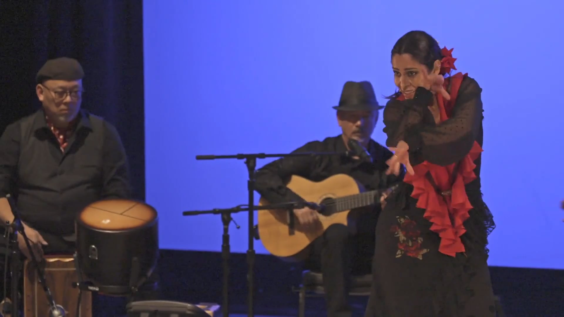 Promotional video thumbnail 3 for Sol Flamenco