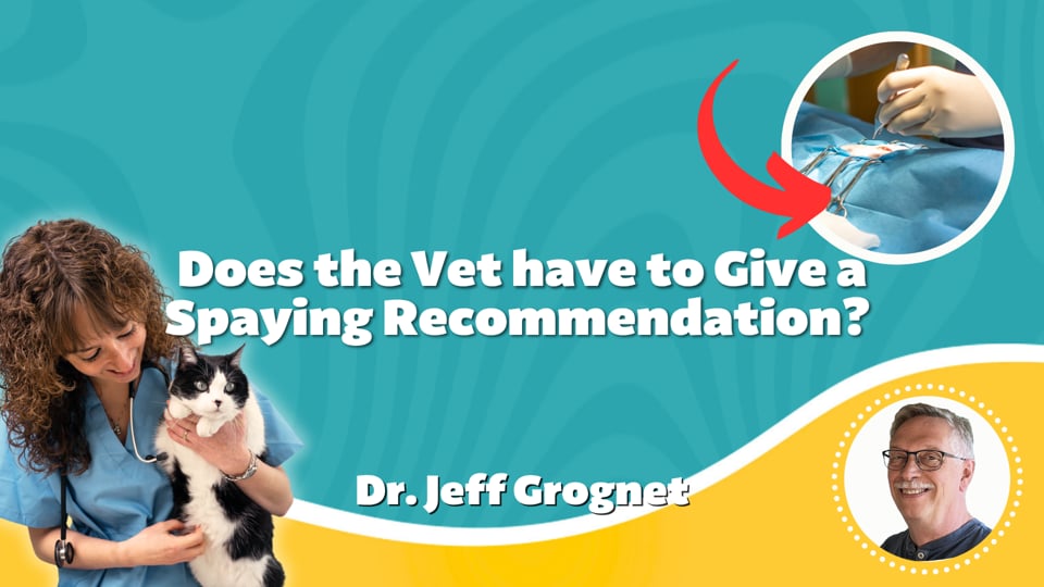 Does the Vet have to give a Spaying Recommendation? 