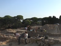 Visita institucional al MAC Empúries en la clausura del 80è curs d'arqueologia