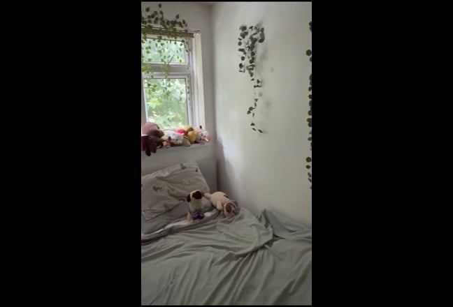 Video 1: 