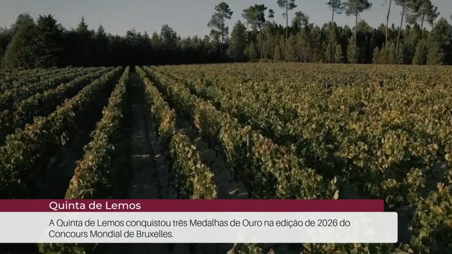 EP 97 | Not&iacute;cias do Enoturismo