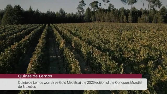 EP 97 | Wine Tourism News