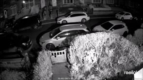 Car theft