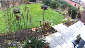 Squirrel visit