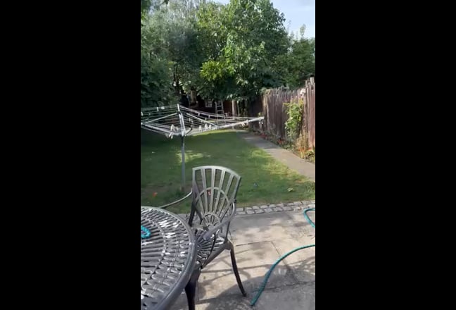 Video 1: 