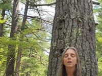 Day 6 - Guided Meditation 