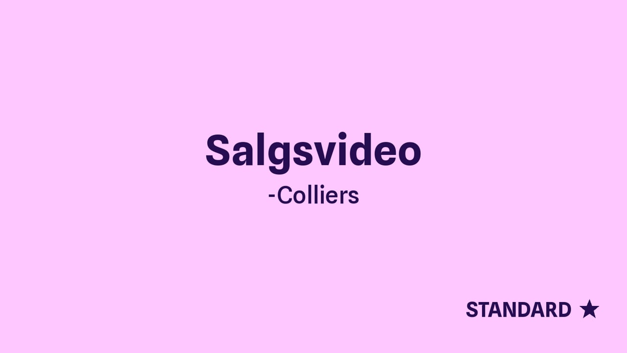 Salgspitch-video - STANDARD