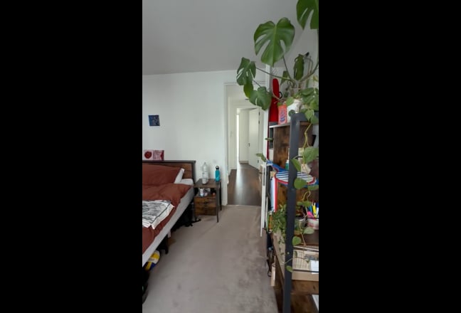 Video 1: 