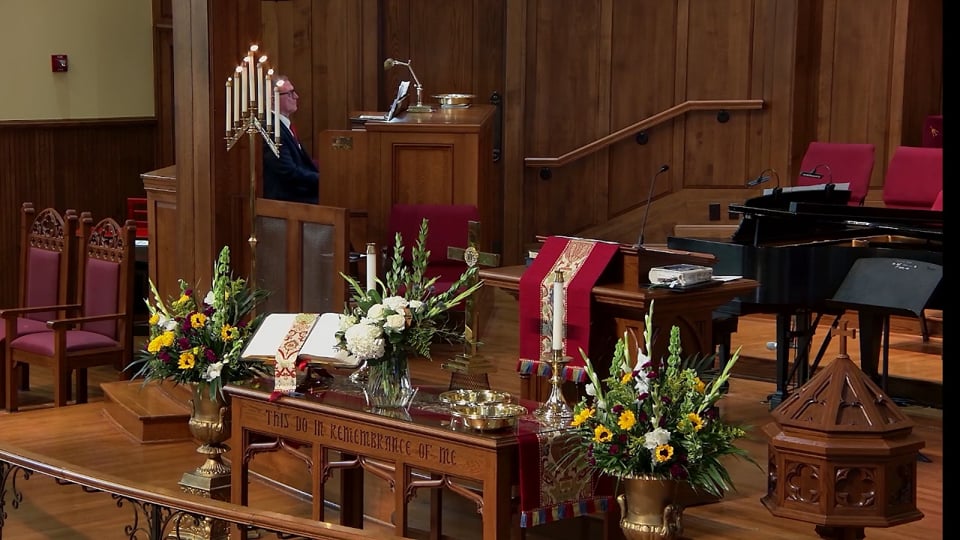 Ninth Sunday after Pentecost 2026