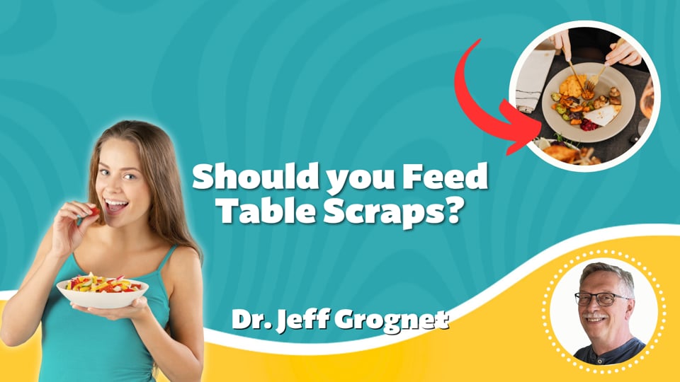 Should you Feed Table Scraps?