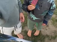 User video