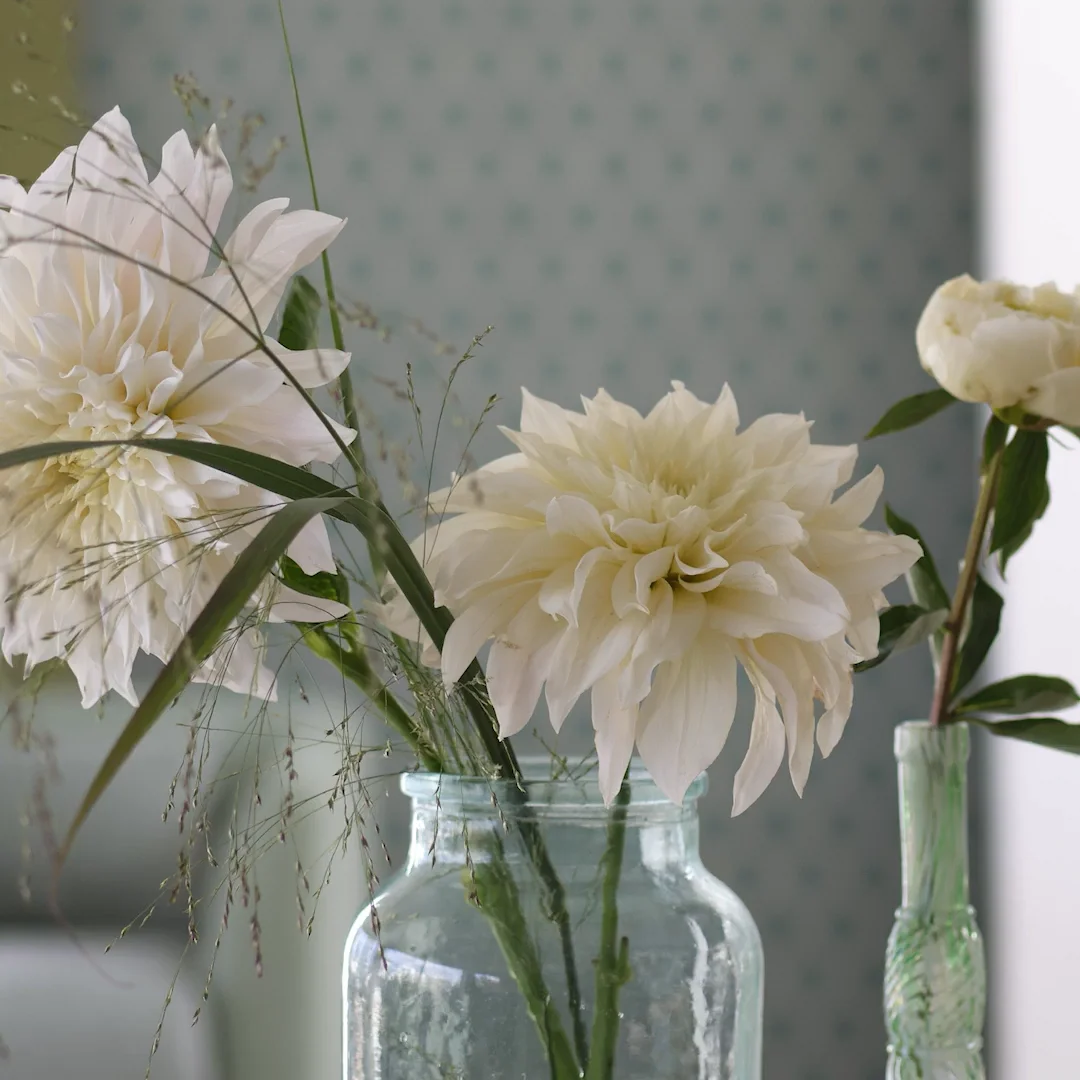 DESIGNERS GUILD™ Official Site | Designers Guild US