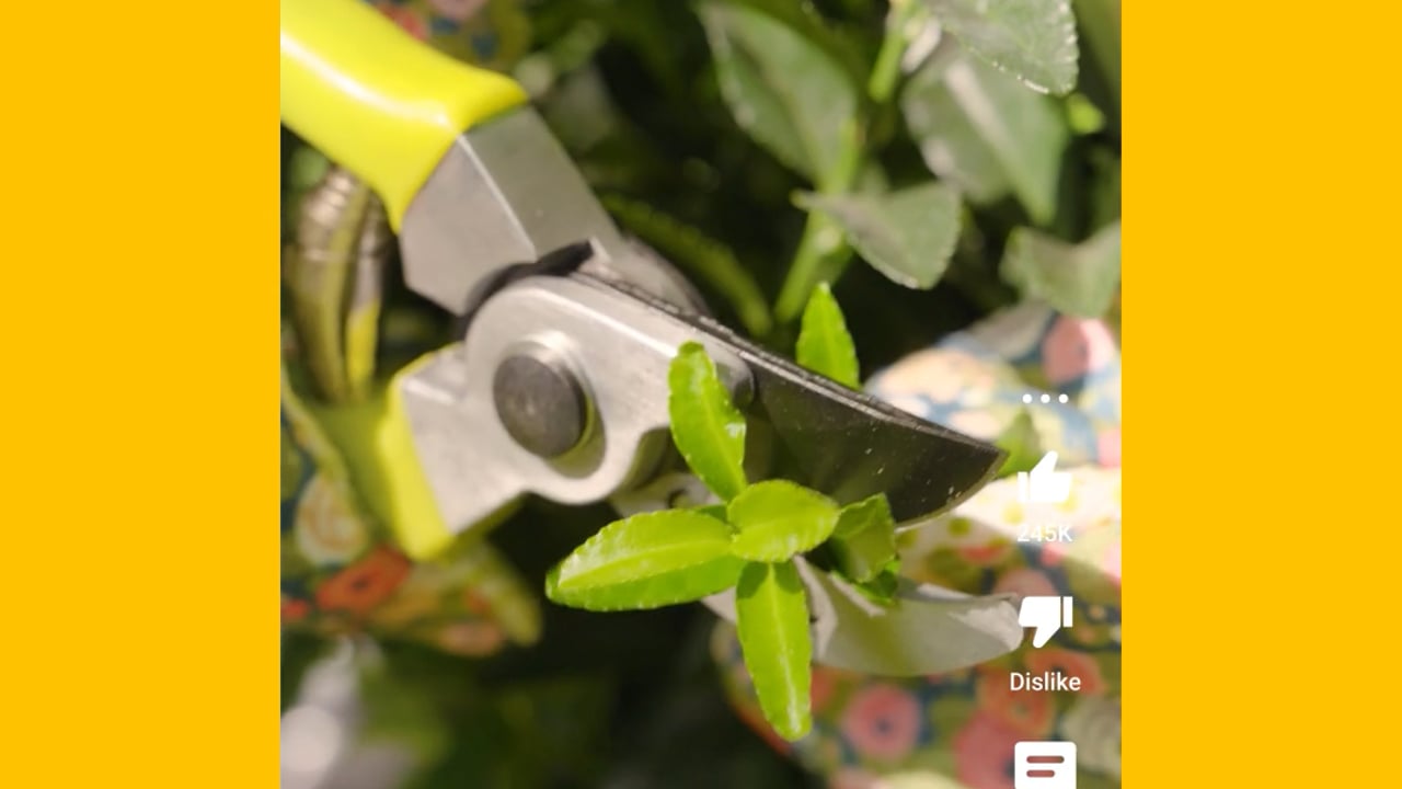 Video thumbnail: PB_CaseStudy07_4x5