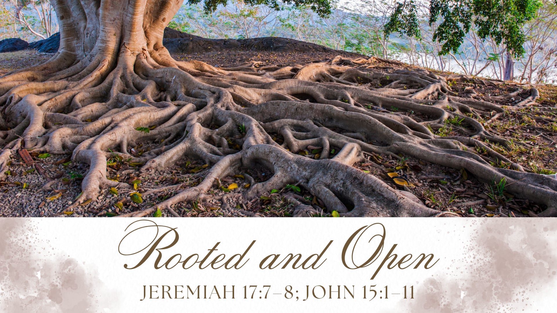 "Rooted and Open" - Sunday Service