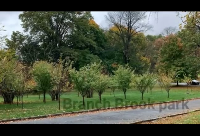 Forest hills newark beautiful house share  Main Photo