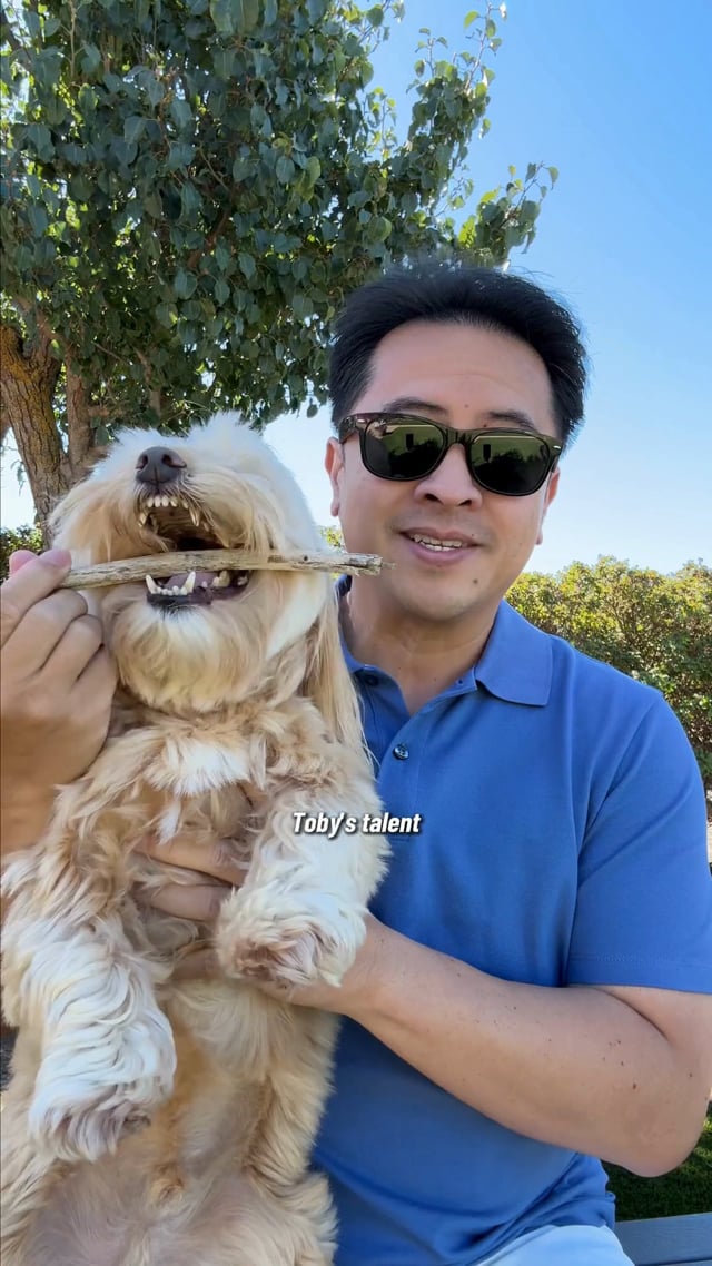 PetLab Co.