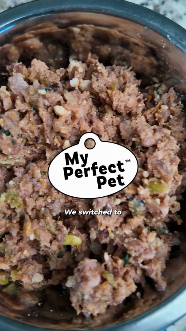 My Perfect Pet