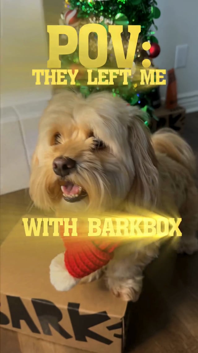 BarkBox