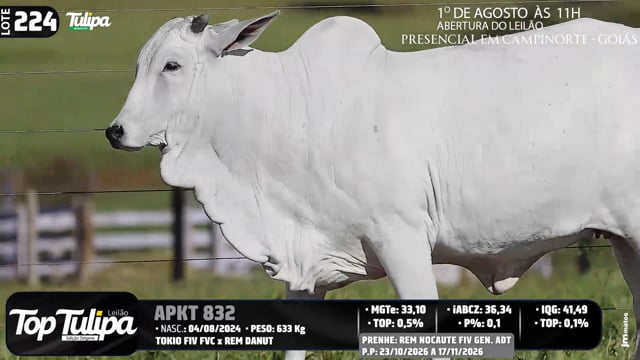 Lote 224