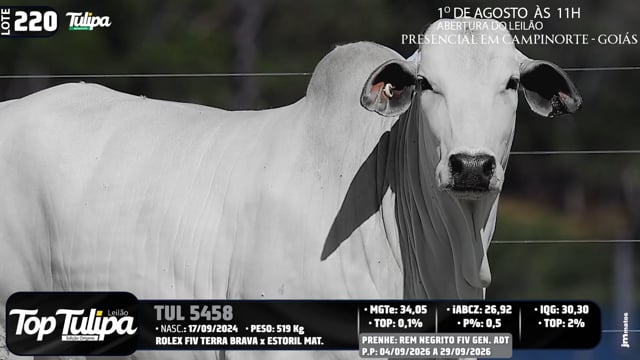 Lote 220