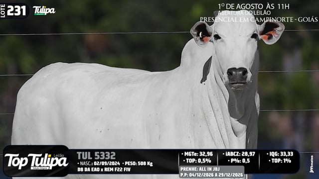 Lote 231