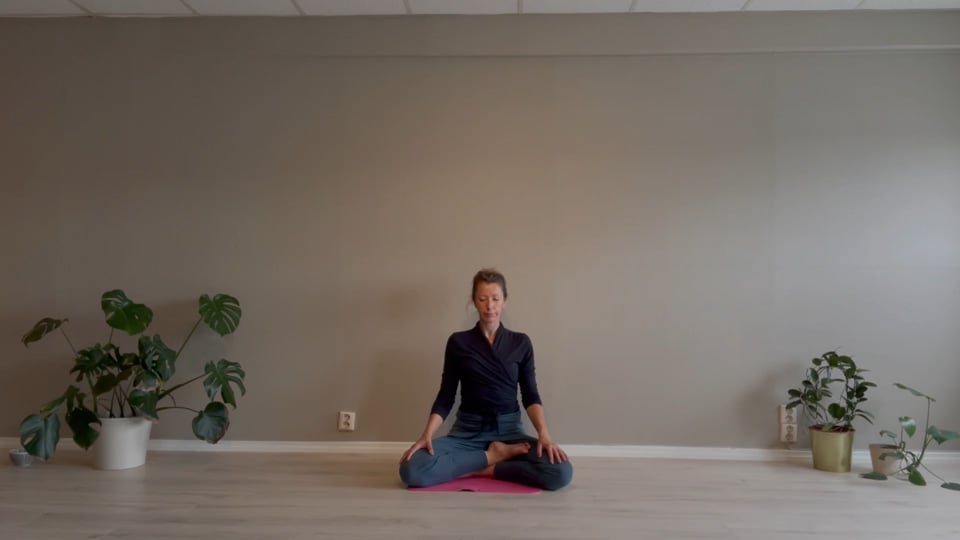 5 min seed (bija) meditasjon (lyd).