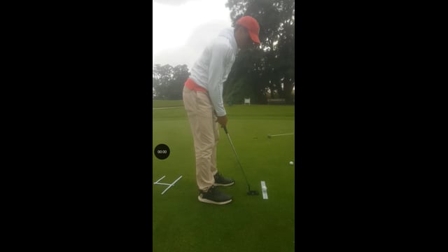 Play swing video