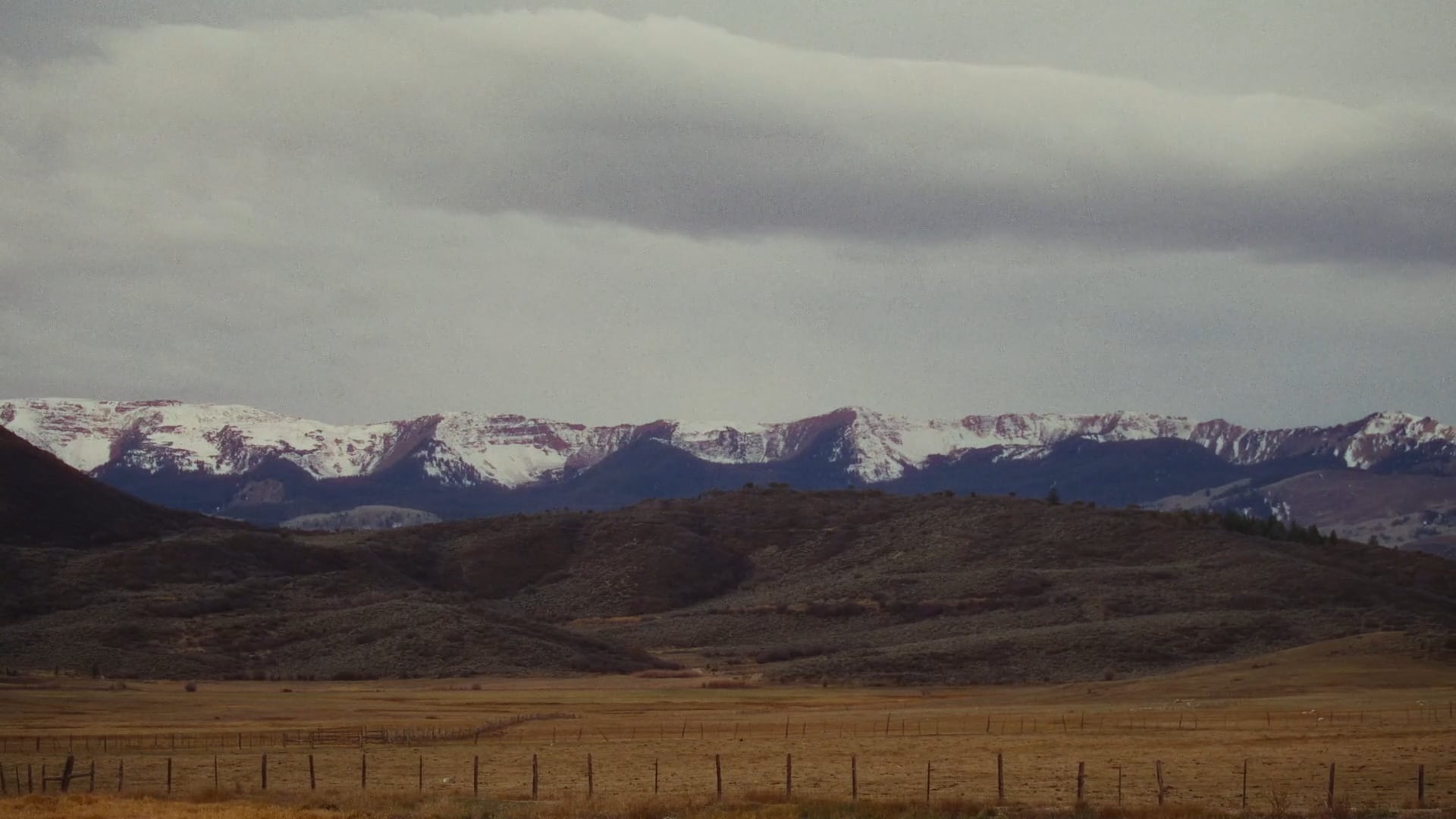 WHEATLAND