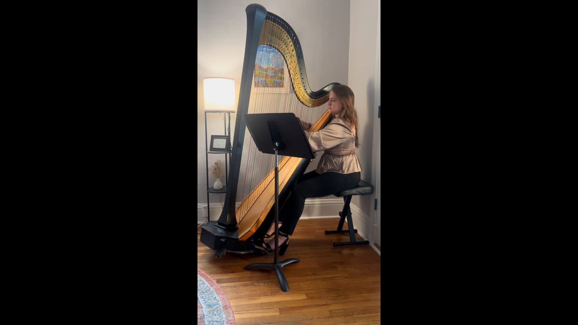 Promotional video thumbnail 1 for Central NY Harpist