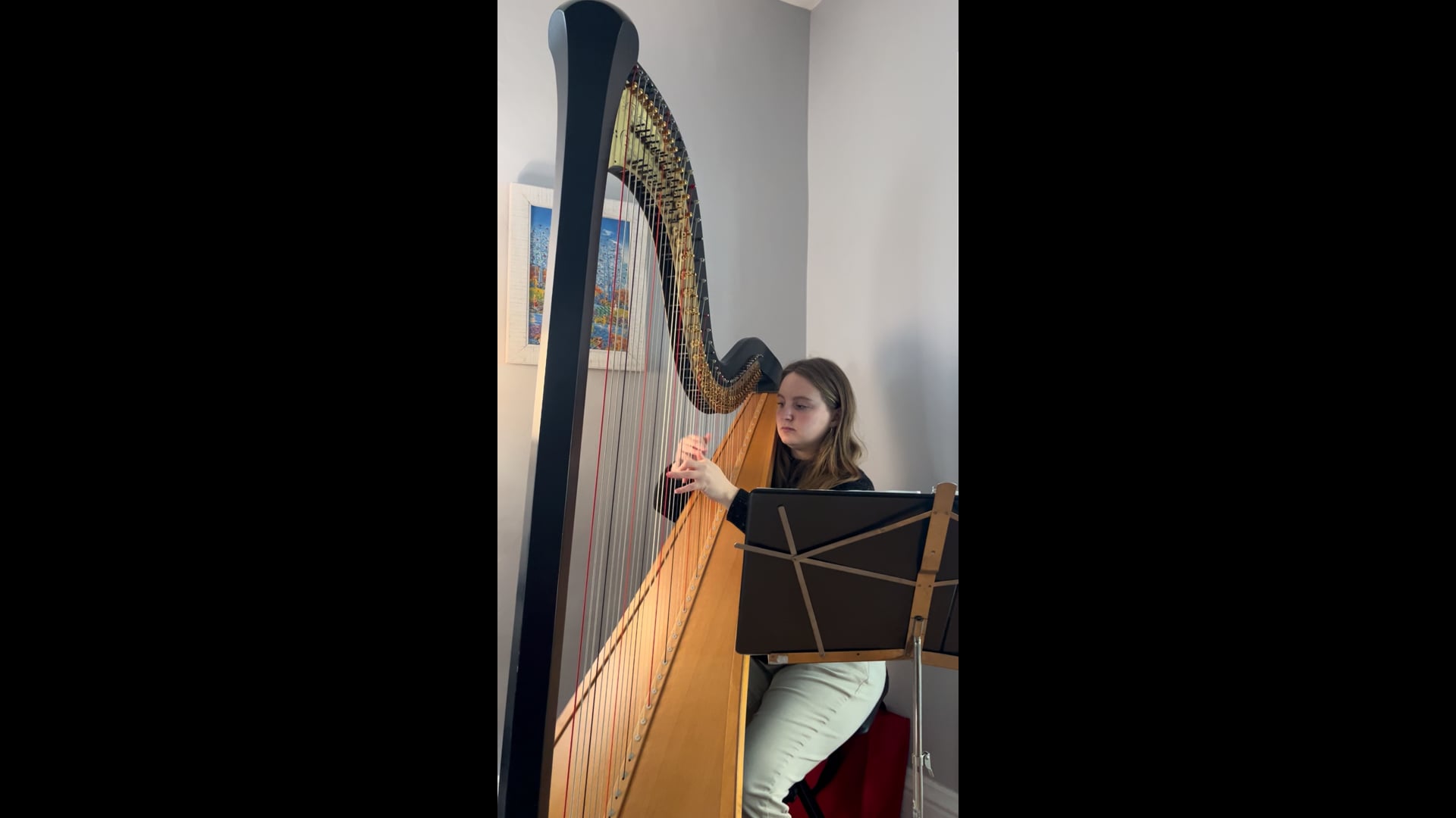 Promotional video thumbnail 2 for Central NY Harpist