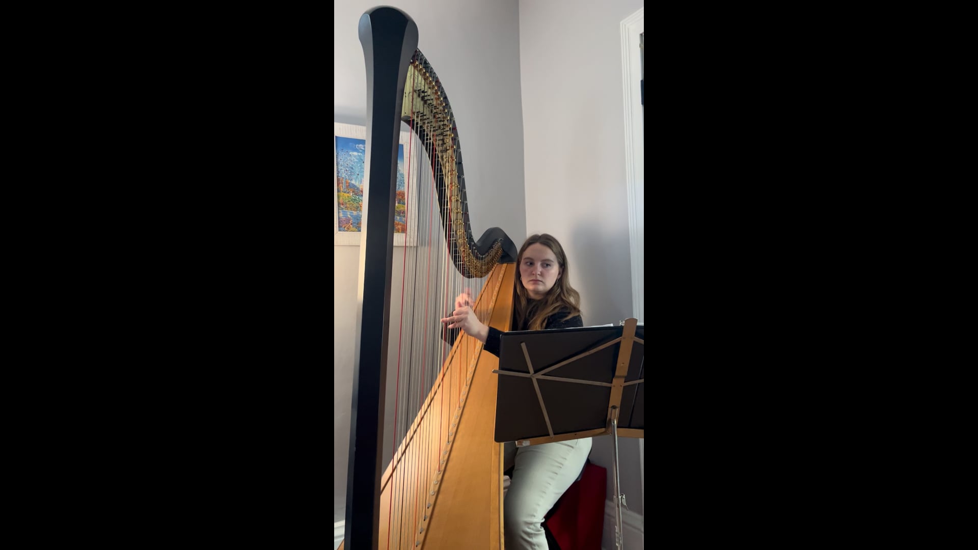 Promotional video thumbnail 3 for Central NY Harpist
