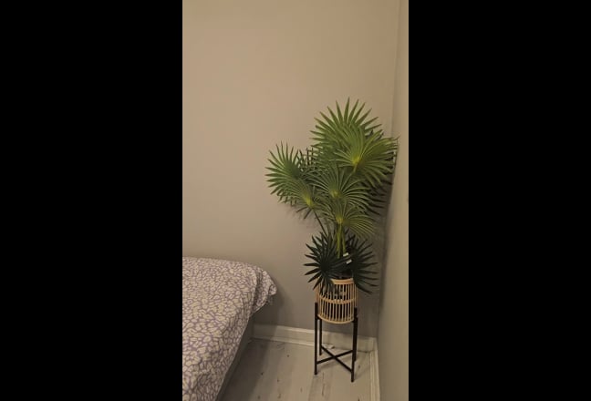 Double Room for Rent in a nice Location. Main Photo