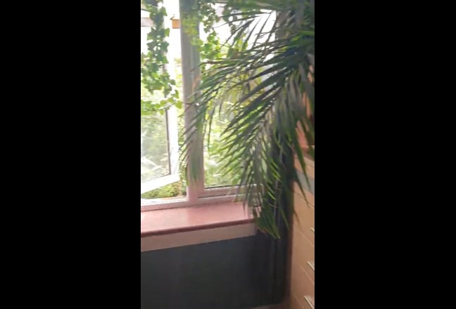Video 1: 